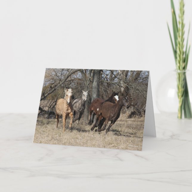 Cartão Bob Langrish | Quatro Cavalos De Basselo Em Corrid (Frente)