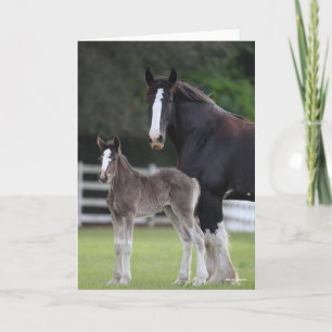 Cartão Bob Langrish Raça e Pé de Cavalo de Shire