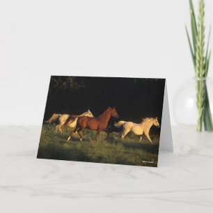 Cartão Bob Langrish Três Árabes Correndo À Noite