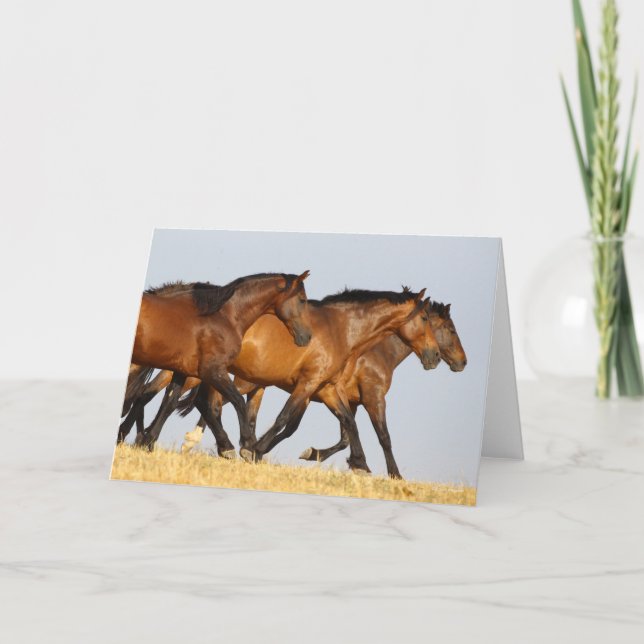 Cartão Bob Langrish | Triplo Andaluciano Mares Running (Frente)