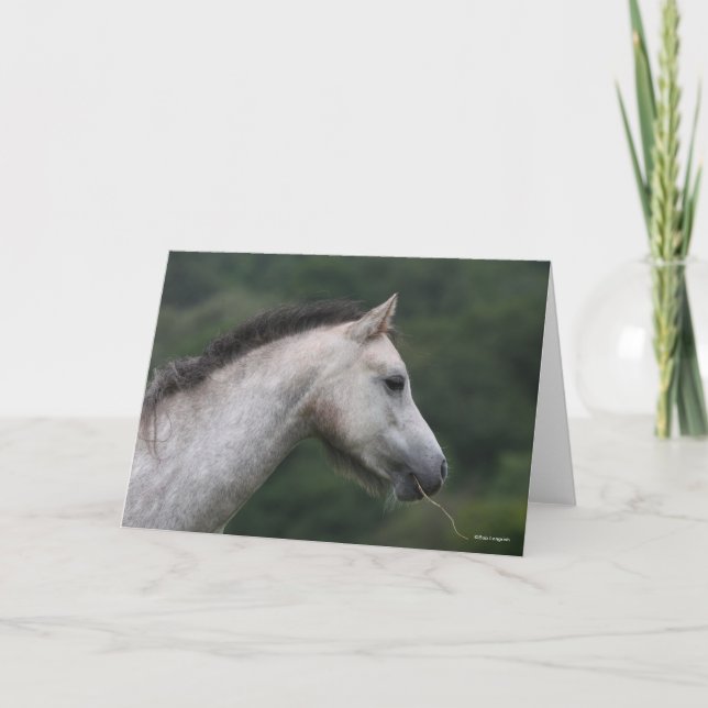 Cartão Bob Langrish | Welsh Section A Pony Headshot (Frente)