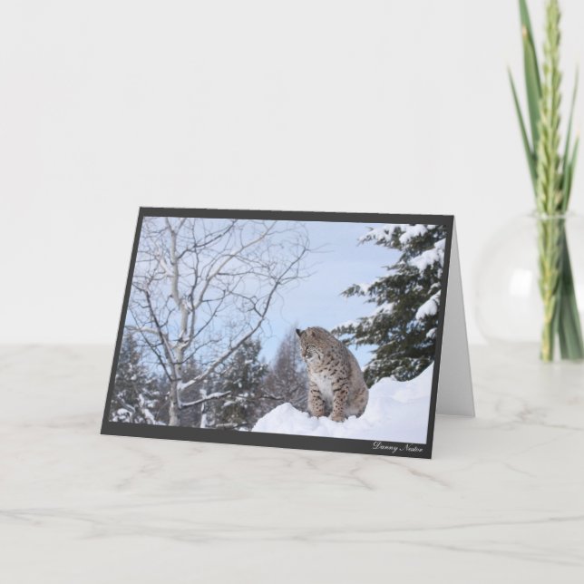 Cartão Bobcat (Frente)