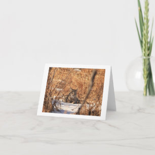 Cartão Bobcat notecard
