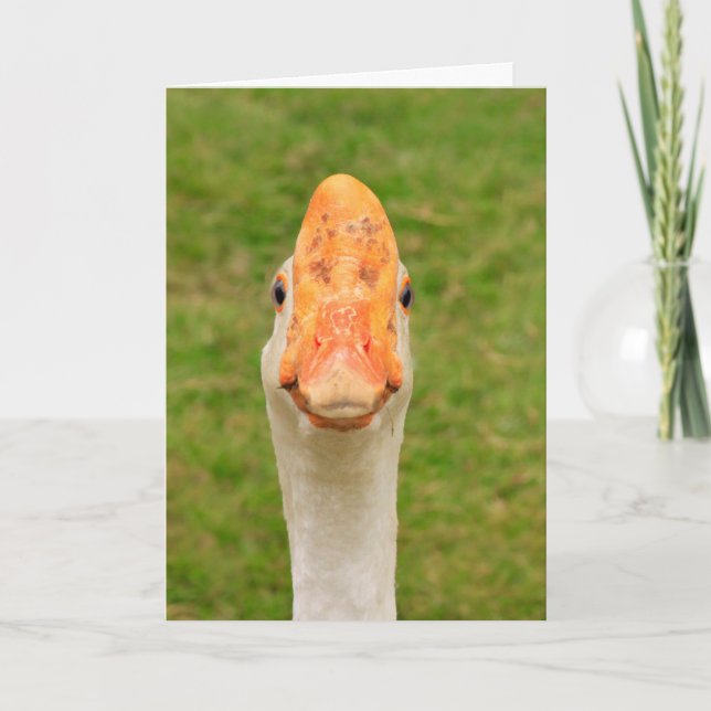Cartão Bobo Goose Birthday (Frente)