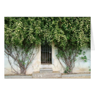 Cartão Boboli Gardens