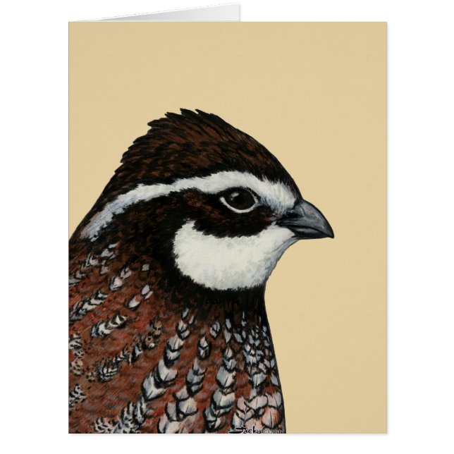 Cartão Bobwhite Quail Head (Frente)