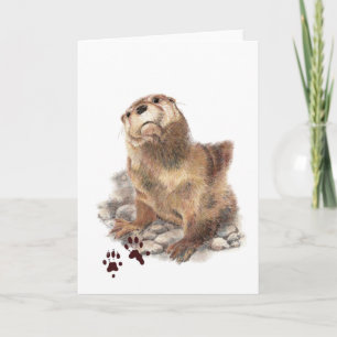 Cartão Boca-Boca, Rastreio Animal, Vida Selvagem