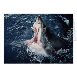 Cartão Boca de tubarão elevada aberta