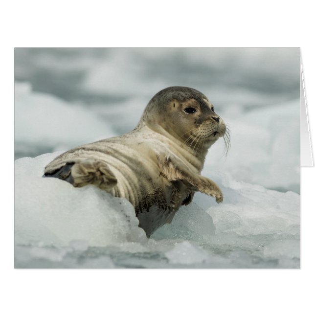 Cartão Boca Doce (Frente horizontal)