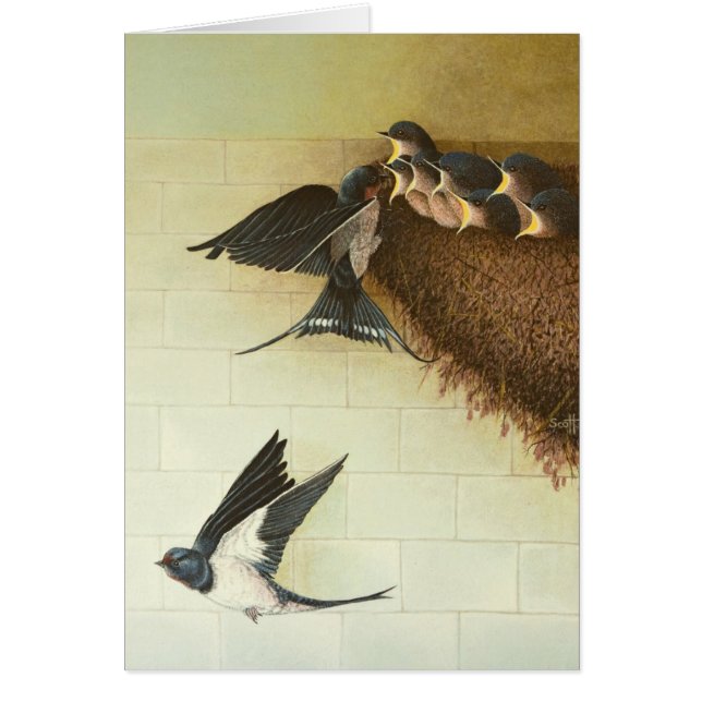 Cartão Bocas com fome 2011 (Frente)