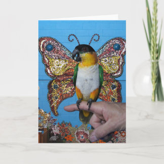 Cartão Boingo butterfly card 2