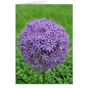 Cartão Bola da Flor Roxa