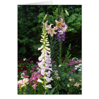 Cartão Bolas em Bloom