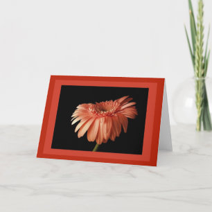 Cartão Bold Gerber Greeting Card