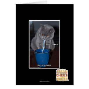 Cartão Bolhas dos sopros no leite do ur