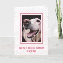 Bolinhas Rosa Personalizada Cachorro Cachorro Dia 