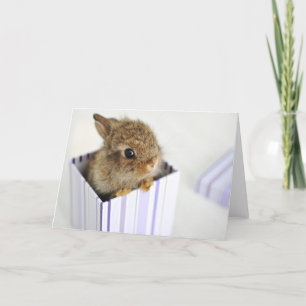 Cartão Bolo na caixa!