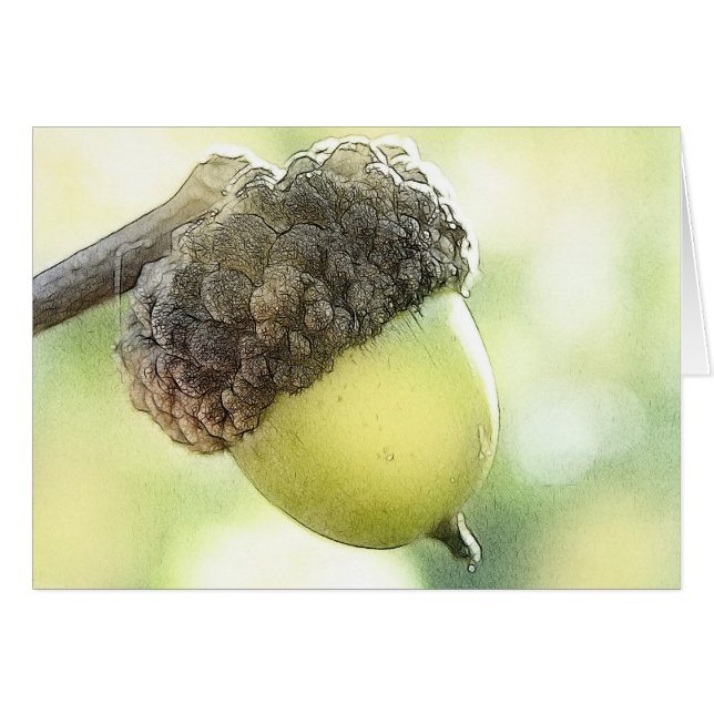 Cartão Bolota (Frente Horizontal)