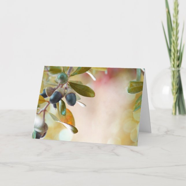 Cartão Bolotas (Frente)