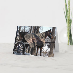 Cartão Bolsa de inverno