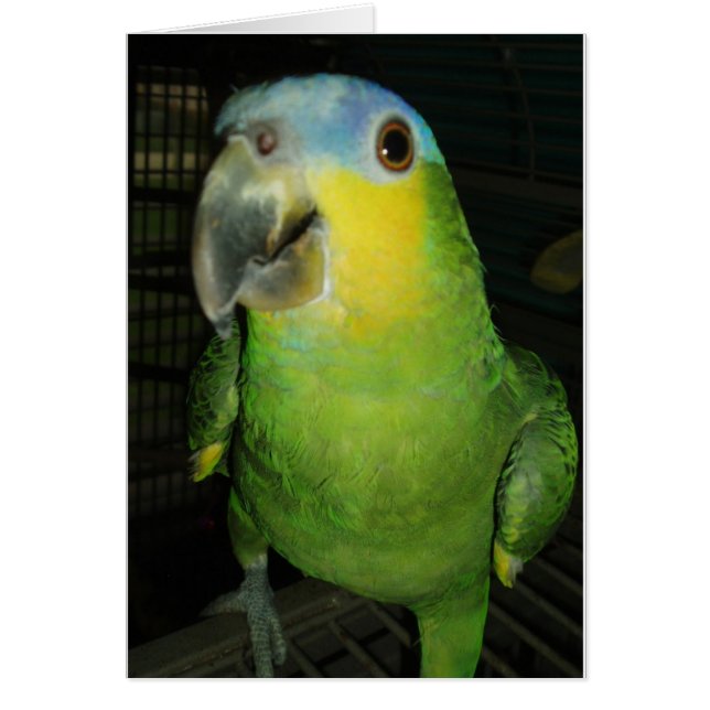 Cartão Bom dia! (Frente)