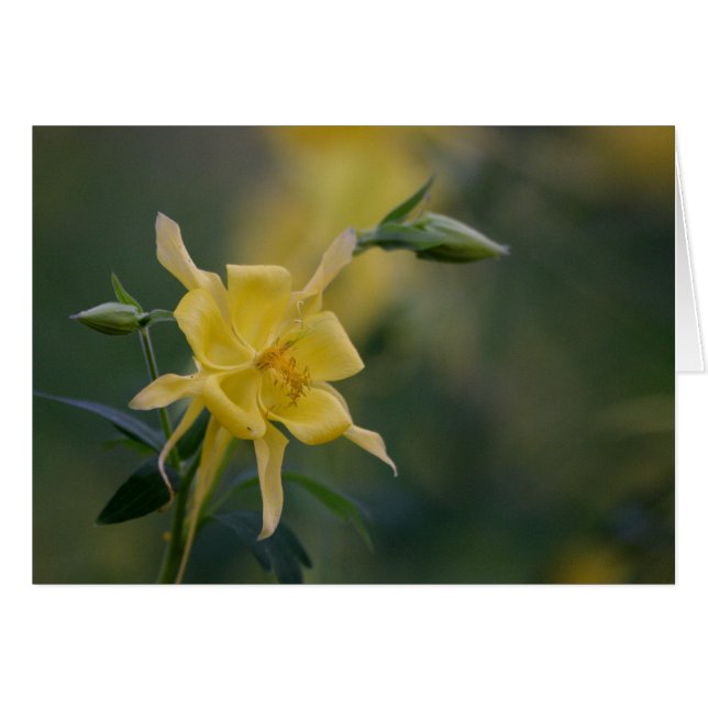 Cartão bom dia amarelo (Frente Horizontal)