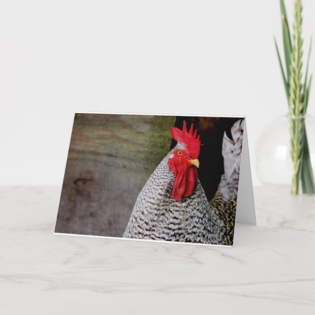 Cartão Bom Dia, Elmer! (Frente)