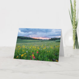 Cartão Bom Dia, Meadow.