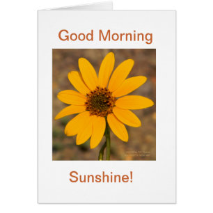 Cartão Bom Dia, Sunshine!