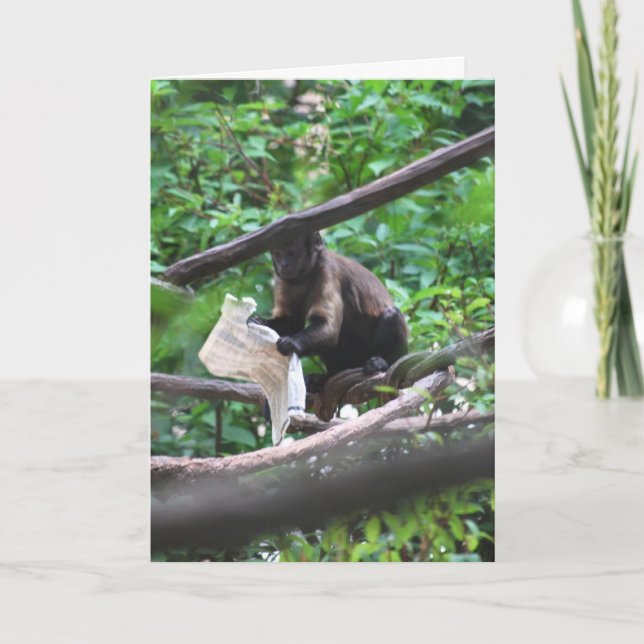 Cartão Bom jornal Macaco diz Parabéns (Frente)