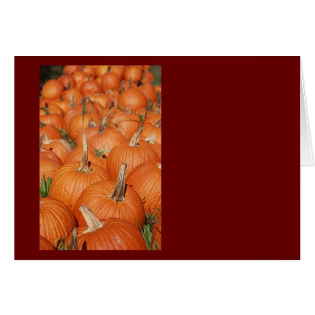 CARTÃO BOMBAS! (Frente Horizontal)