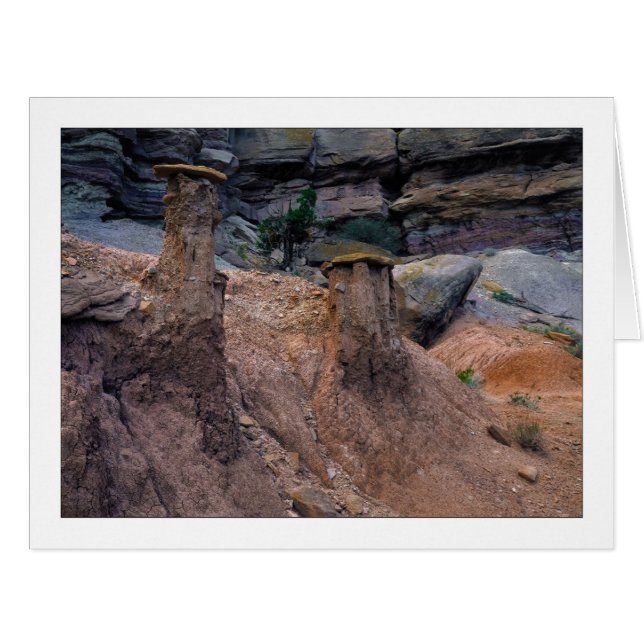 Cartão bonés de lama (Frente horizontal)