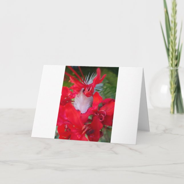 Cartão Bonita Alienígena Crimson.jpg (Frente)