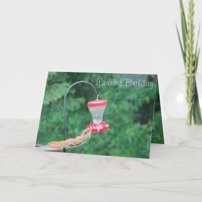 Cartão Bonita e branca (Frente)