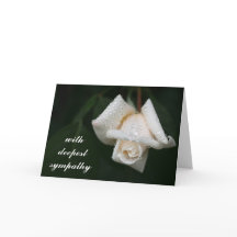 Bonita Folha Verde Branca Rosa Flor Simpatia