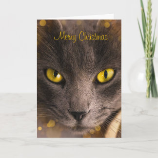 Cartão Bonita Gato Marrom com Dourado Natal