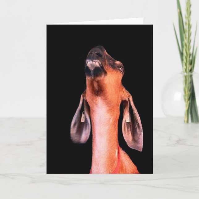 Cartão Bonitão (Frente)