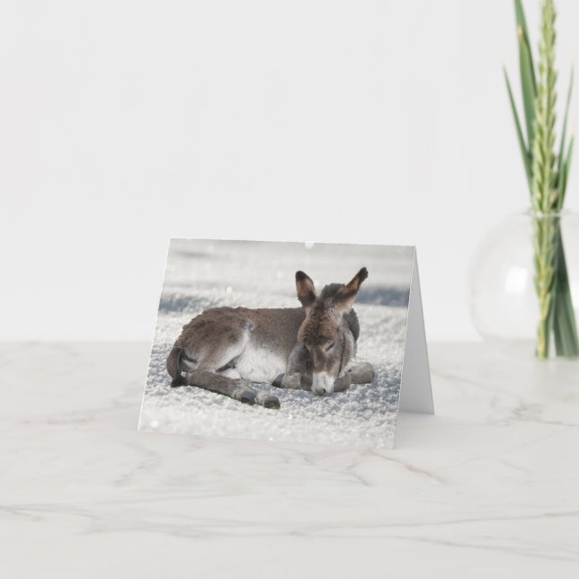 Cartão Bonitinho Donkey no Natal da Neve (Frente)