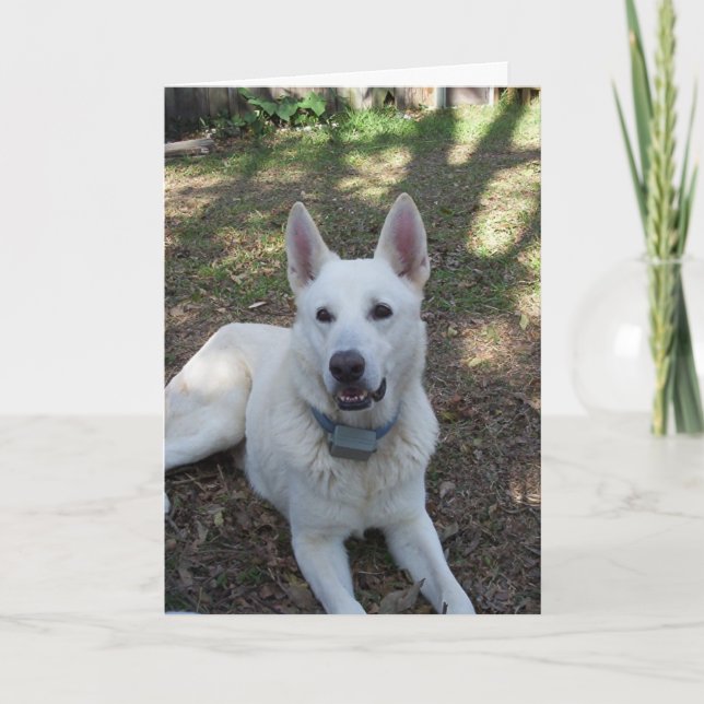 Cartão bonito (Frente)