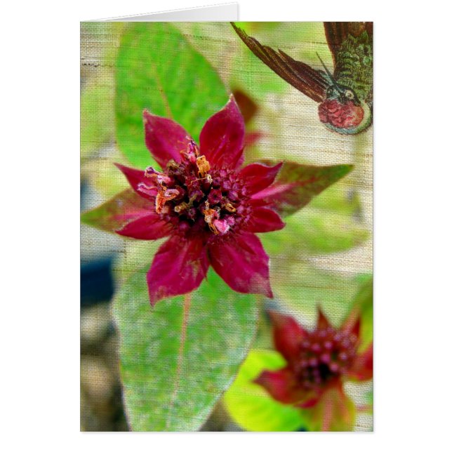 CARTÃO BONITO 2 (Frente)