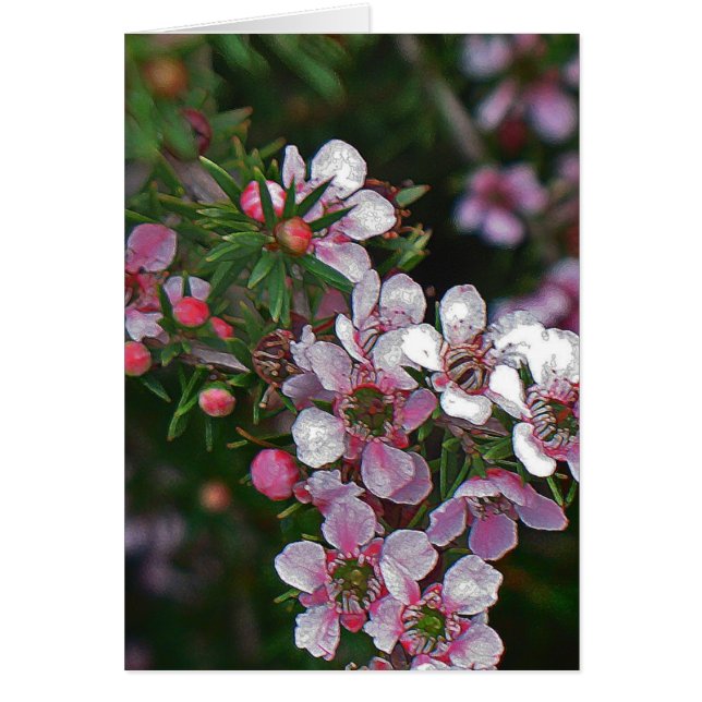 Cartão Bonito a rosa (Frente)