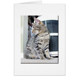 Cartão Bonito Bebê Bengala