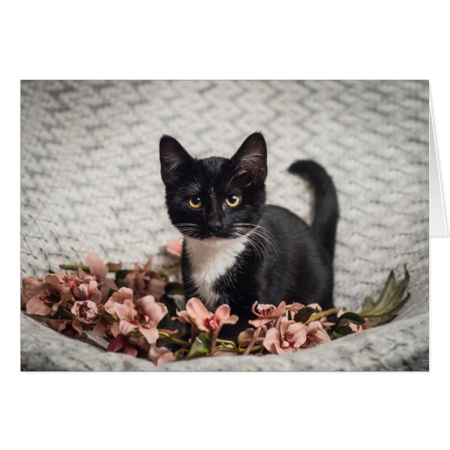 Cartão Bonito Bella Rosa (Frente horizontal)