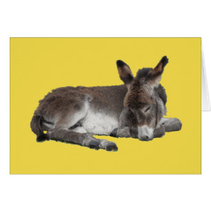 Cartão Bonito burro de chocolate dormindo em amarelo