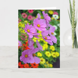 Cartão Bonito cosmos flores impressão