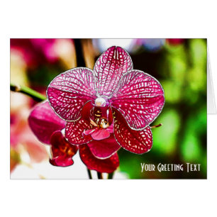 Cartão bonito da orquídea