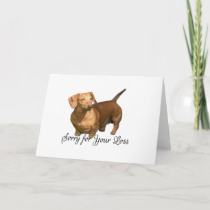Cartão Bonito Dachshund Vermelho Desculpe por Perder Cond