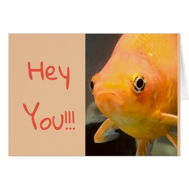 Cartão bonito do aquário (Frente Horizontal)