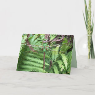 Cartão Bonito Dragonfly no Garden Photo Greeting Card