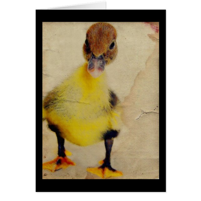 Cartão Bonito Ducking (Frente)